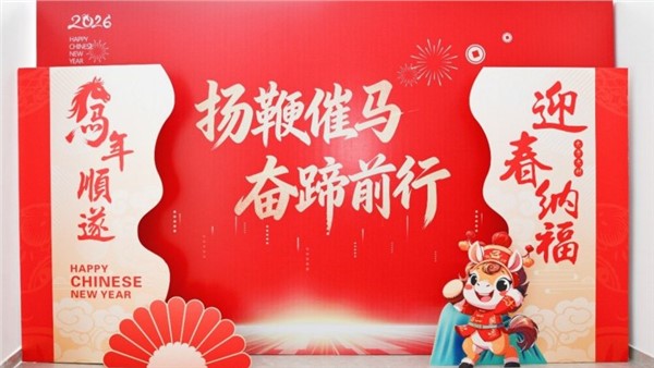 揚鞭催馬開新局，奮蹄前行譜華章——特力公司2025年度總結表彰大會圓滿舉行